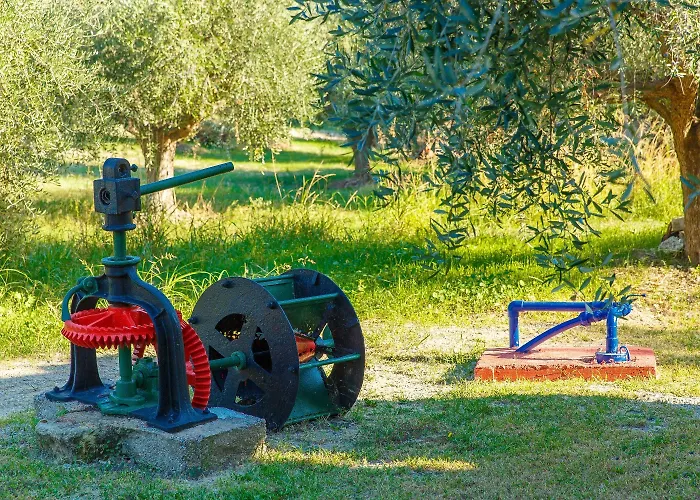 Filoxenia Apartments&studios 3* Theológos