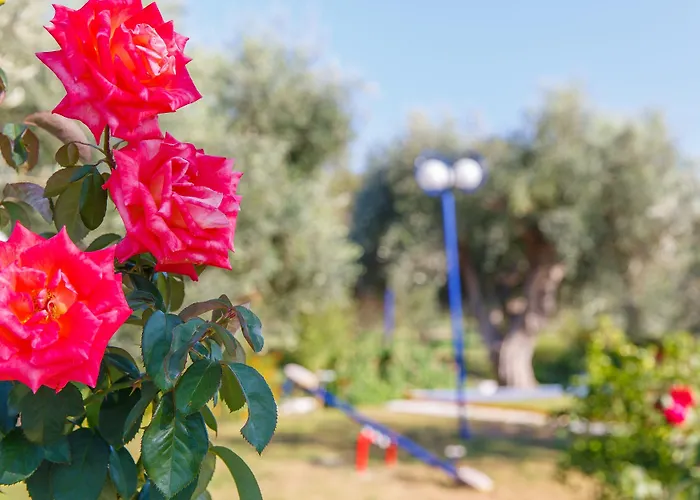 Filoxenia Apartments&studios Theológos