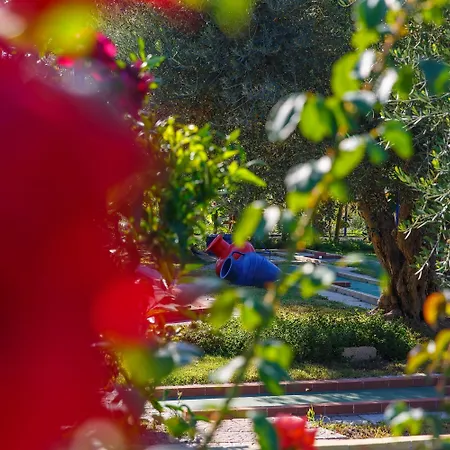 Filoxenia & 3* Theológos