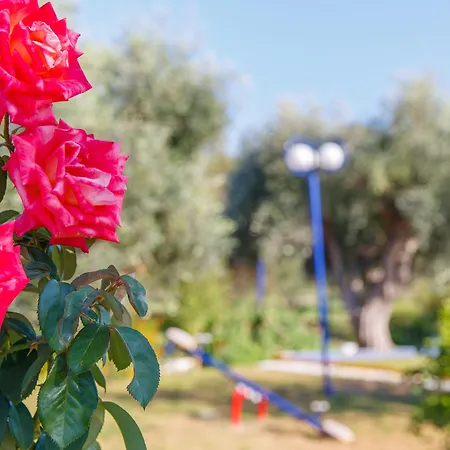 Filoxenia & Theológos